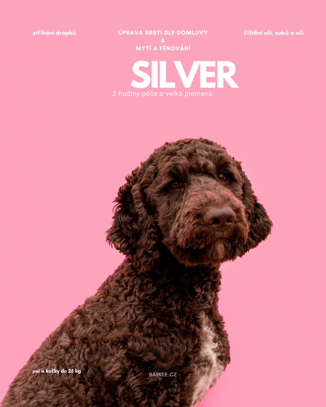 Silver large - Barkee