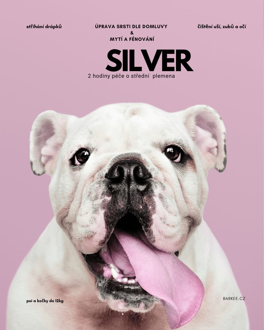 Silver medium - Barkee