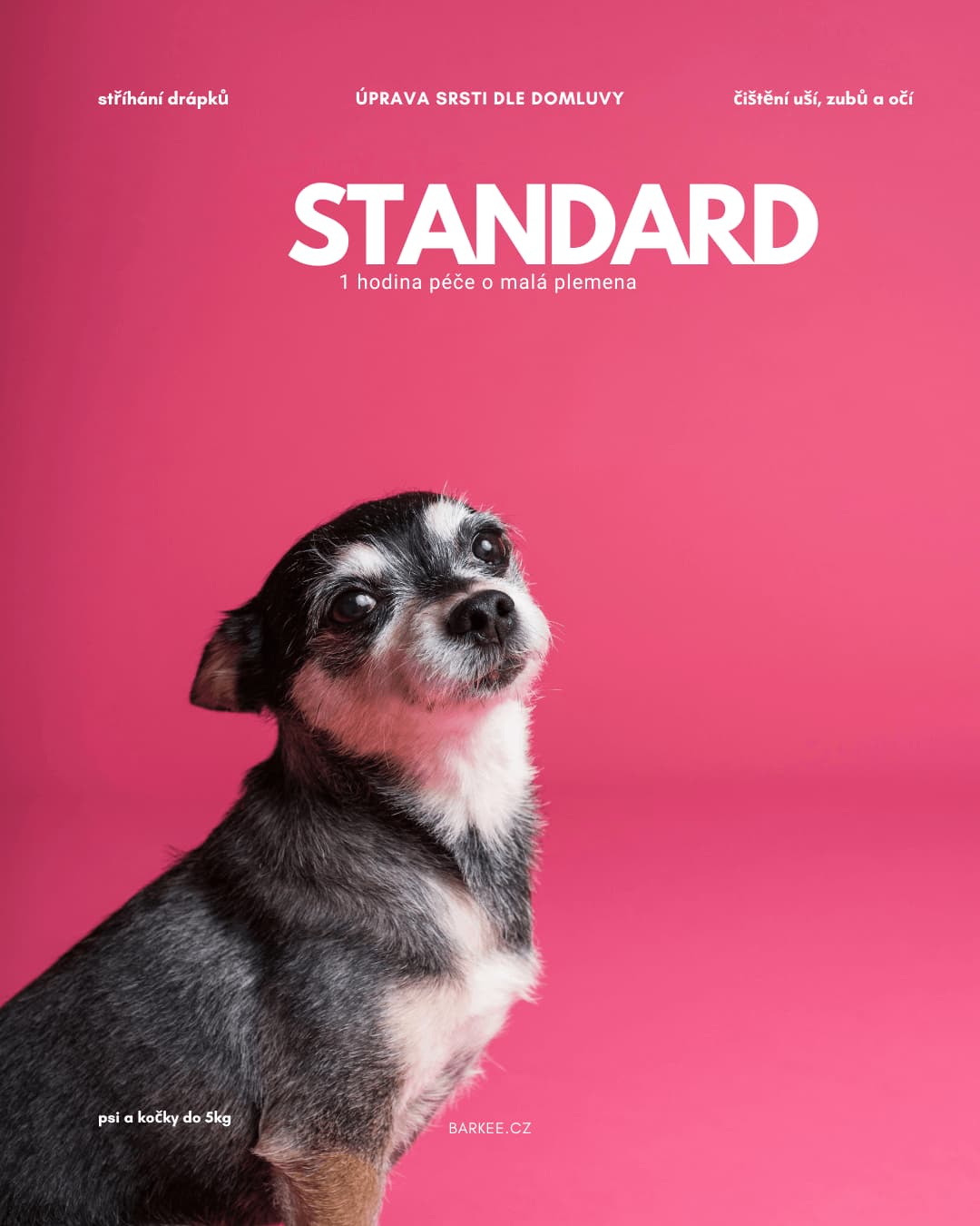 standard mini - Barkee